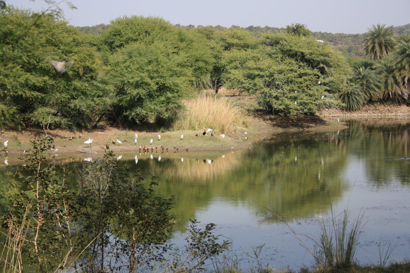 Van Vihar National Park